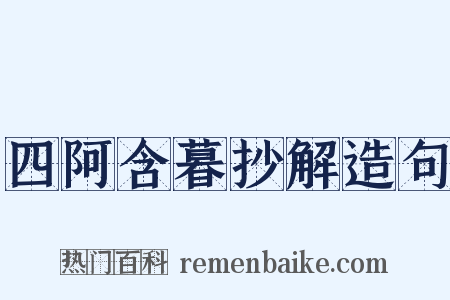 四阿含暮抄解造句是什么意思的图片